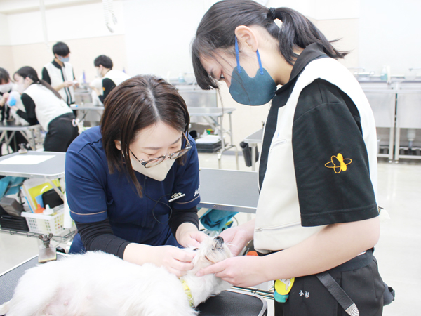体の隅々まで健康チェック！
